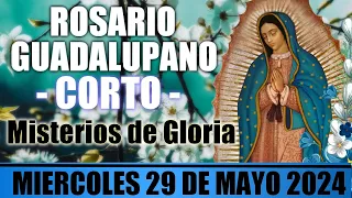 SANTO ROSARIO CORTO DE HOY MIERCOLES 29 DE MAYO  2024 🌷 MISTERIOS GLORIOSOS 🙏 ROSARIOS GUADALUPANOS
