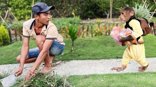 Super Funny! Cutis secretly packed things follow dad to live farm!