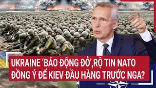 Chiến sự Nga Ukraine : Ukraine ‘báo động đỏ’, rộ tin NATO đồng ý để Kiev đầu hàng trước Nga?