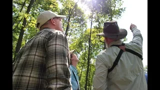 Thinning Forests to Save the Birds