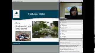 CWF Wild Webinar: Gardening for Butterflies