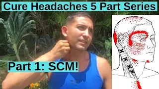 Pain Freedom Headaches & SCM, Ear & Eye Problems, Balance Issues & More!