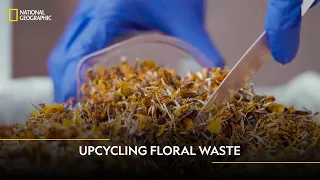 Upcycling Floral Waste | Ankit Agarwal | #OneForChange