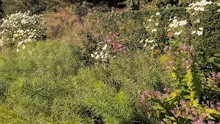 PIET OUDOLF'S BORDER - PIET OUDOLF'S PLANTING BED