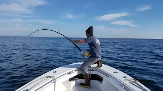 Cape Cod Bluefin Tuna - "Highlights"