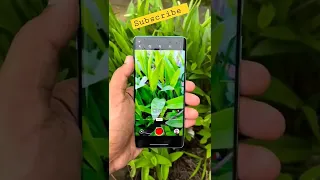 OnePlus 8 Camera Test 😱 And Unboxing 🔥 Price? ? #shorts #trending #viral #unboxing #trend #apple #mi