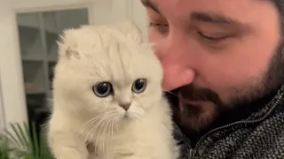 Dog person melts when he gets his first cat