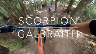 Scorpion - Galbraith Mountain - Bellingham, Washington