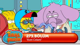 Kral Şakir 273. Bölüm  - Evet Ceketi