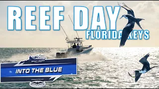 Florida Keys Reef Fishing  | Into the Blue