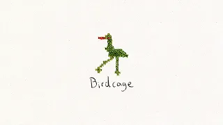 Novo Amor - Birdcage (official audio)