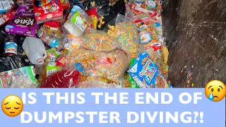 DUMPSTER DIVING// THEY ARE DESTROYING EVERYTHING 😢