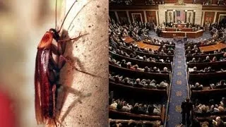 What's More Popular, Congress or Cockroaches?