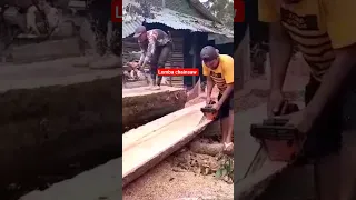 Lomba Chainsaw #feedshorts #shortvideo