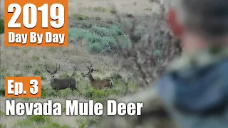 Bucks Spotted! | 2019 Nevada Mule Deer (Ep. 3)