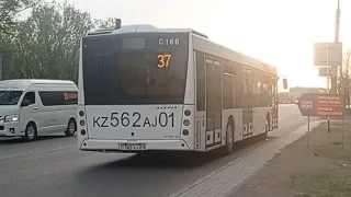 Поездка на автобусе МАЗ 203.016|37 маршрут|562 AJ 01|город Астана