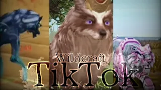 Wildcraft - tiktok compilation #1🍃