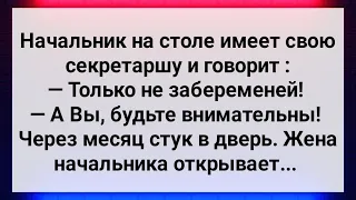 Секретарша Залетела от Начальника! Сборник Свежих Анекдотов! Юмор!