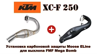 Carbon Pipe Guard for FMF Mega Bomb installation