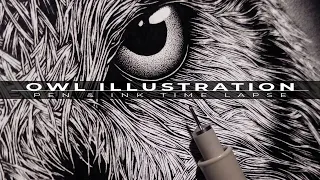 Owl Illustration | Pen & Ink Time Lapse