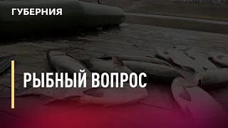 Рыбный вопрос. Новости. 16/11/2021. GuberniaTV