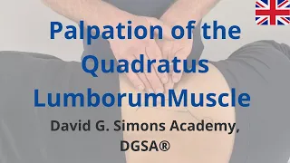 Palpation of the Quadratus Lumborum Muscle
