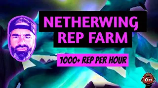 WRATH CLASSIC NETHERWING REP FARM - GO INTO WOTLK IN STYLE!