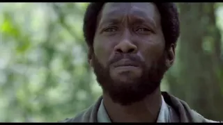 Free State of Jones - Trailer 2 (60 sec)