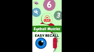 Easy recall to know Eyeball Muscles (Anatomy)