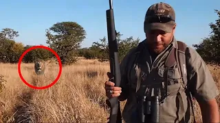 6 Scary Lion Encounters That Will Give You Chills