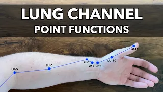 Lung Channel - Point Functions & Indications