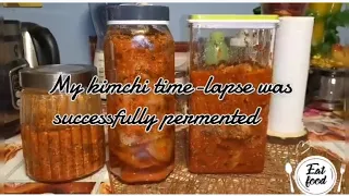 Kimchi Fermentation Time-lapse.