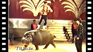 Massimiliano Martini e Rudi Dell'Acqua - animali esotici al Royal Circus (1989)