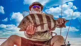 MONSTER Sheepshead were DESTROYING this Bait EVERY Drop!
