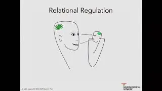 3. Emotional Contagion: Neurosequential Network Stress & Trauma Series