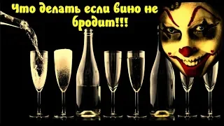 ЧТО ДЕЛАТЬ ЕСЛИ ВИНО НЕ БРОДИТ / ЧТО ДЕЛАТЬ ЕСЛИ МЕЗГА НЕ БРОДИТ!