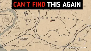 There Is Only One In The Entire Game - RDR2