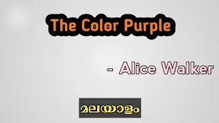 The color purple summary in malayalam | American literature | Alice walker