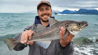 Hooking Fish at the Homer Spit | Fresh Seafood Catch & Cook