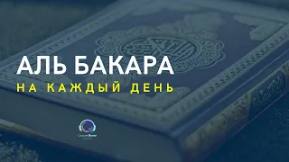 Сура Бакара защита вас и вашего дома от всего плохого, слушайте каждый день