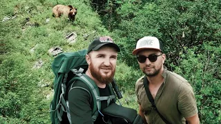 Наткнулись на огромного  медведя в горах Чечни