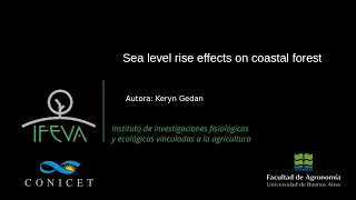 Sea level rise effects on coastal forest