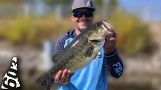 New PB GIANT Largemouth Bass!!