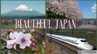 Awesome Cherry Blossom video | Bullet train | さくらの季節 | Beautiful Japan 🎌