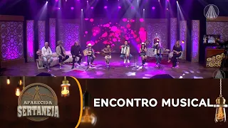 Encontro Musical: Novos Talentos Sertanejos