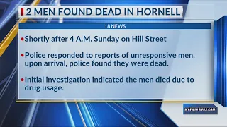 Hornell Police investigating two overdose deaths