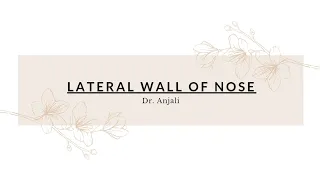 Lateral Wall Of Nose