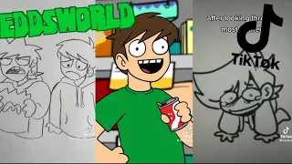 ~Eddsworld TikTok Compilation~(January 2023)~