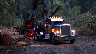 Loading Huge Cedar Logs