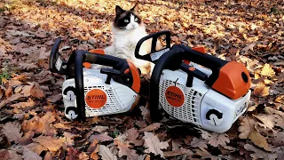 Stihl MS 201TC versus Stihl MS 151TC